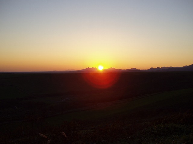 P1010237.jpg