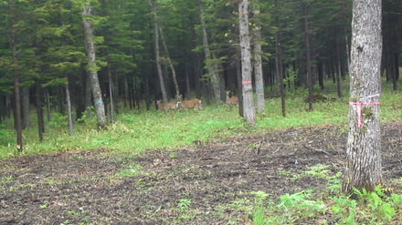 mini_110614_10530001.jpg