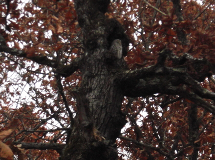 DSCF0379.JPG