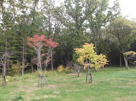 DSCF0754.JPG